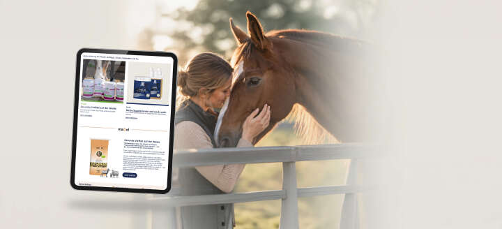 Equovis Newsletter Frau und Pferd